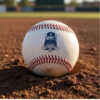 2026 Randy Johnson Number Retirement Balls