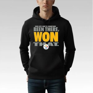 2025 Steelers AFC North Champs Been There Won That Shirt Bigfirefashion