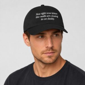 cPEFFu5k Not Right Now Kitten The Walls Are Closing In On Daddy Hat 1 New folder 1