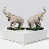 2026 Padres Elephant Valley Swazi Bobblehead Giveaway 1 New folder 1