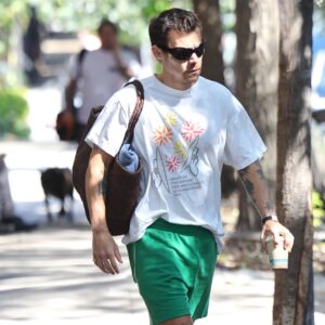 g1e8H8Ez Harry New York Philharmonic Free Parks Concerts 30th Anniversary 1994 Shirt 2 1